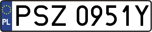 PSZ0951Y
