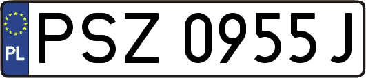 PSZ0955J