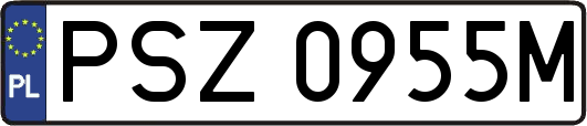 PSZ0955M