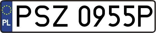 PSZ0955P
