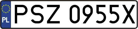 PSZ0955X
