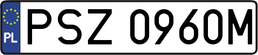 PSZ0960M