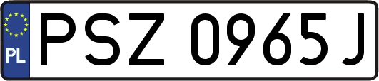 PSZ0965J