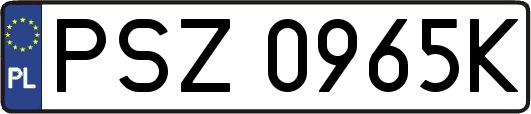 PSZ0965K