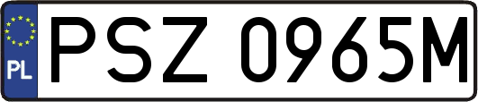 PSZ0965M