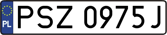 PSZ0975J