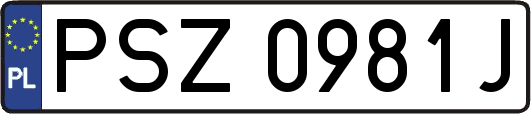 PSZ0981J