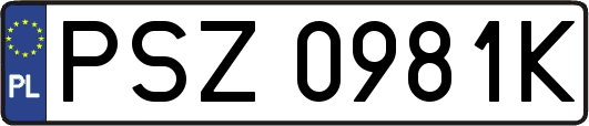 PSZ0981K