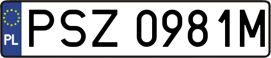 PSZ0981M