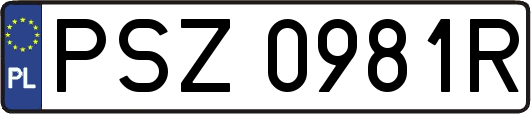 PSZ0981R