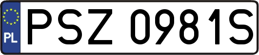 PSZ0981S