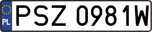 PSZ0981W