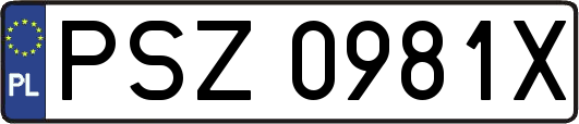 PSZ0981X