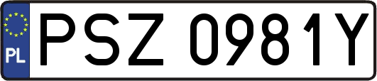 PSZ0981Y