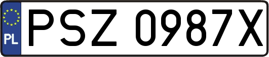 PSZ0987X