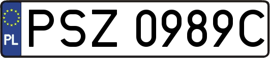 PSZ0989C