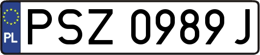 PSZ0989J