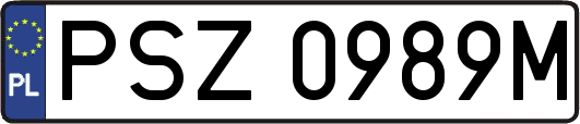 PSZ0989M