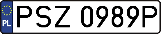 PSZ0989P
