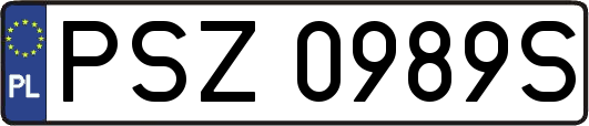 PSZ0989S