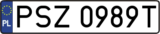 PSZ0989T