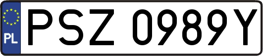 PSZ0989Y