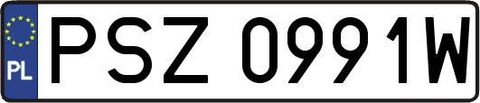 PSZ0991W