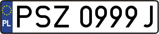 PSZ0999J