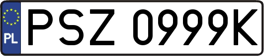 PSZ0999K