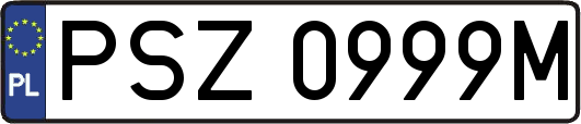 PSZ0999M