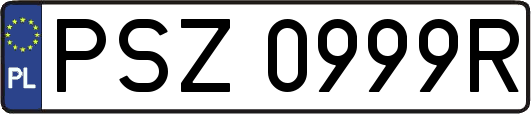 PSZ0999R