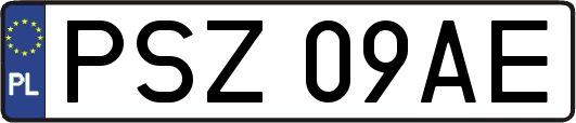PSZ09AE