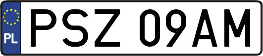 PSZ09AM
