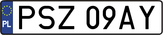 PSZ09AY