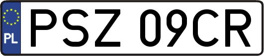 PSZ09CR