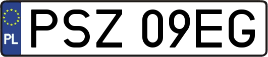 PSZ09EG