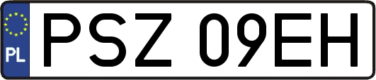 PSZ09EH