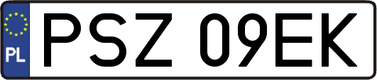 PSZ09EK