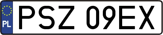 PSZ09EX
