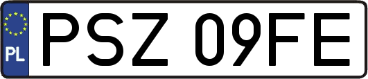 PSZ09FE