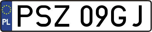 PSZ09GJ