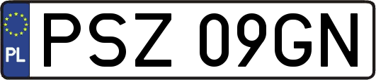 PSZ09GN