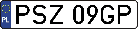 PSZ09GP