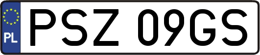 PSZ09GS