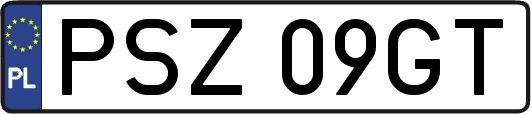 PSZ09GT