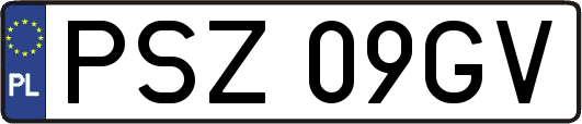 PSZ09GV