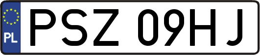 PSZ09HJ