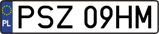PSZ09HM