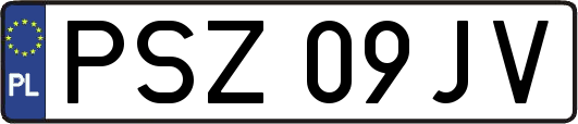 PSZ09JV
