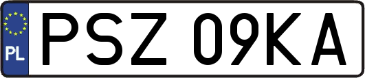 PSZ09KA